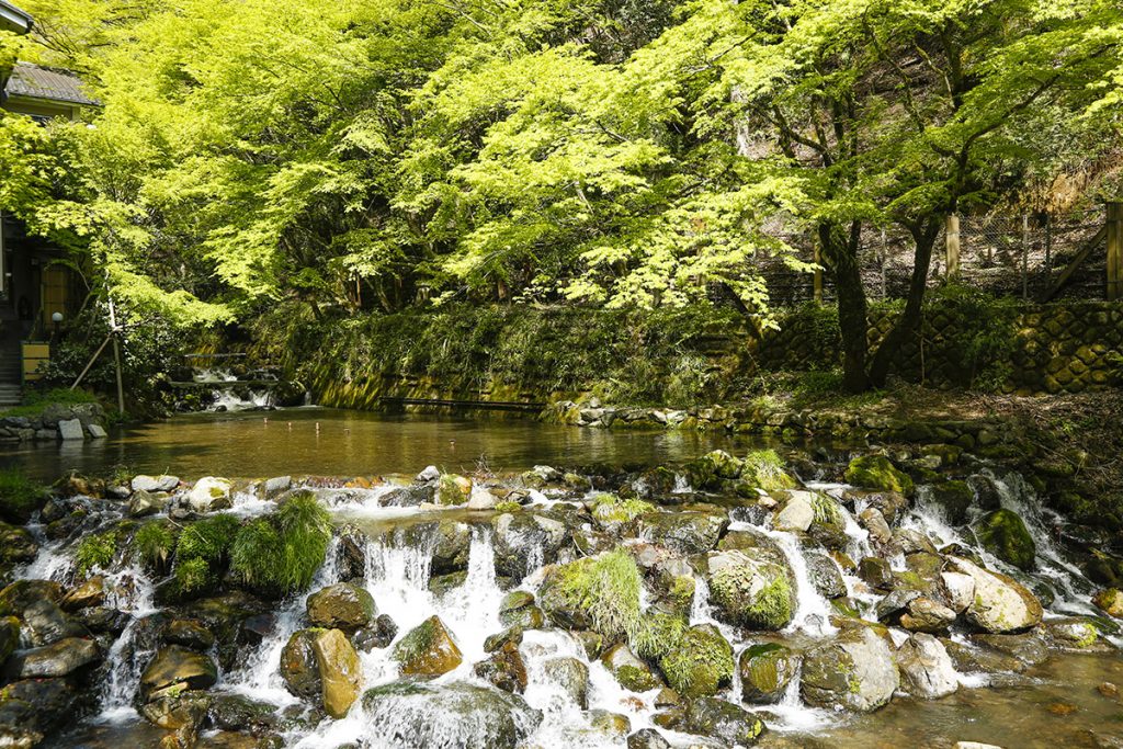 初夏からは川の上に川床があらわれます