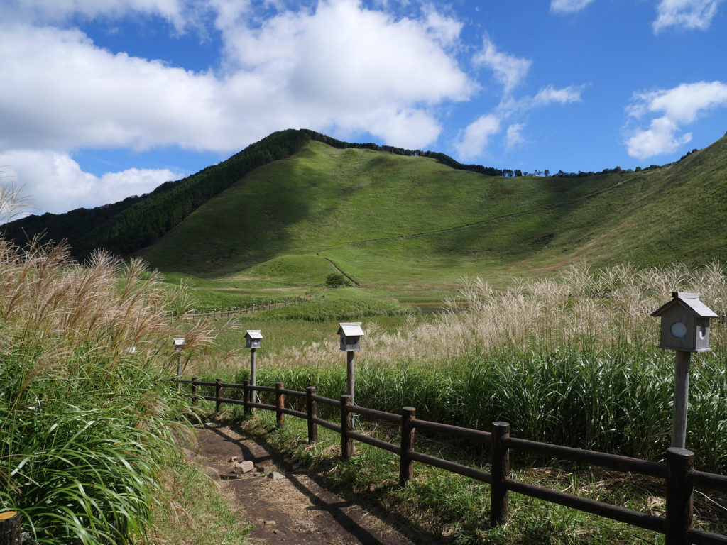京 でかけよう Vol 71 曽爾高原で 全方位絶景の草原を眺める Foresight