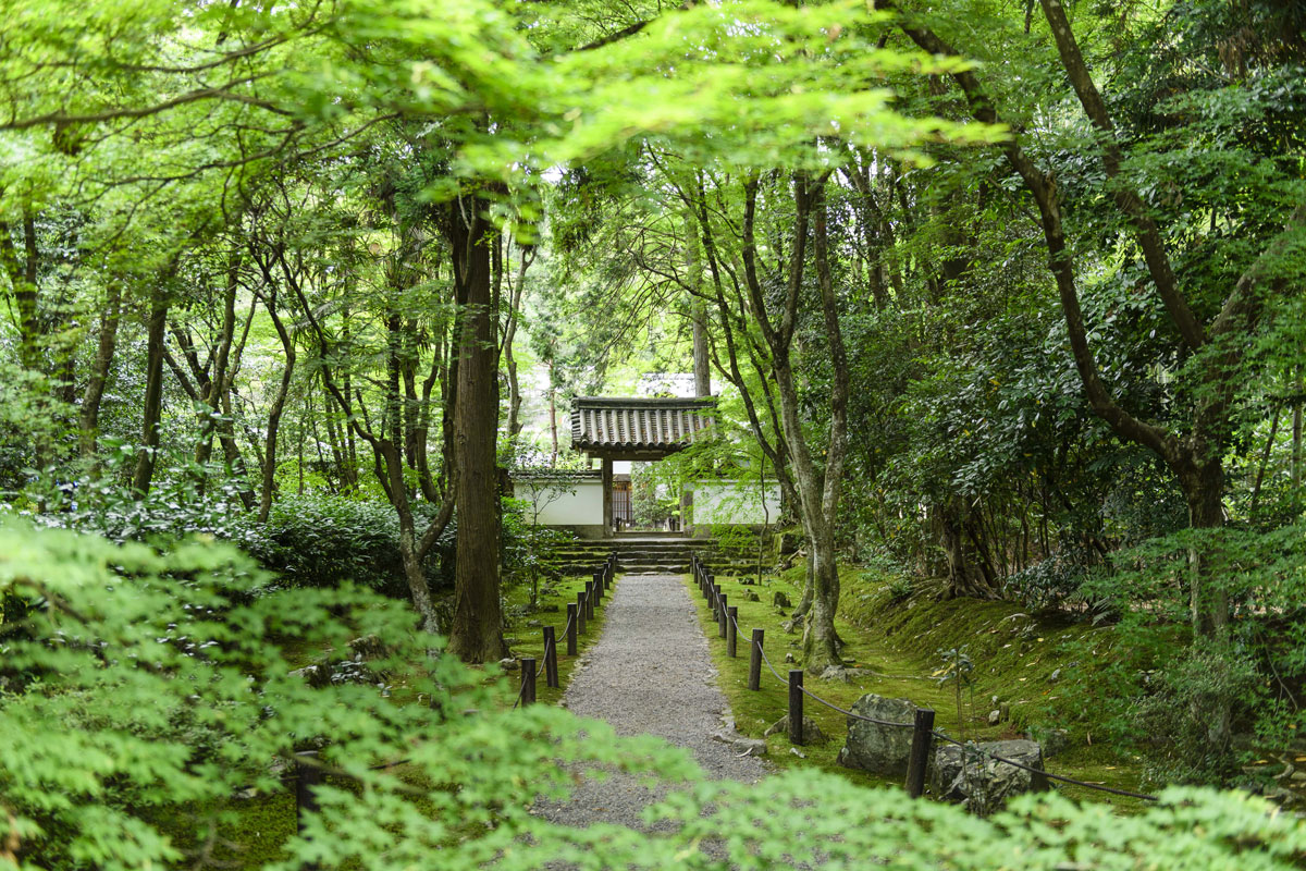 竹の寺とも名高い地蔵院